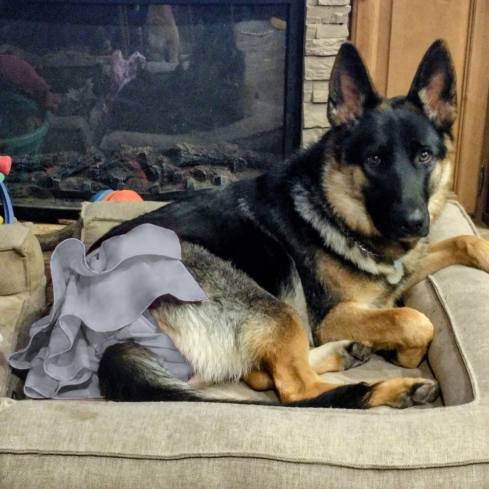 Wegreeco in-use view shows secure fit during gentle play.