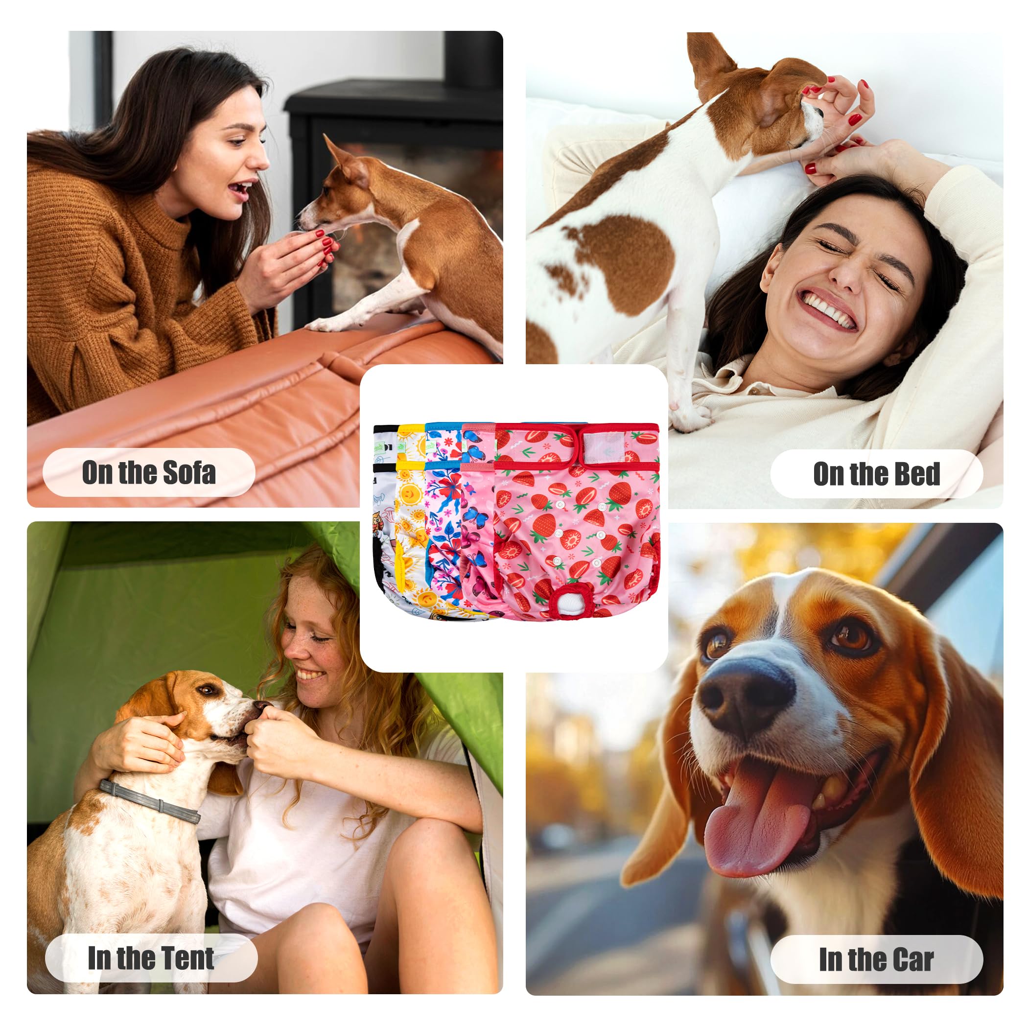 wegreeco dog-in-heat wear shows practical, reusable protection for daily life.