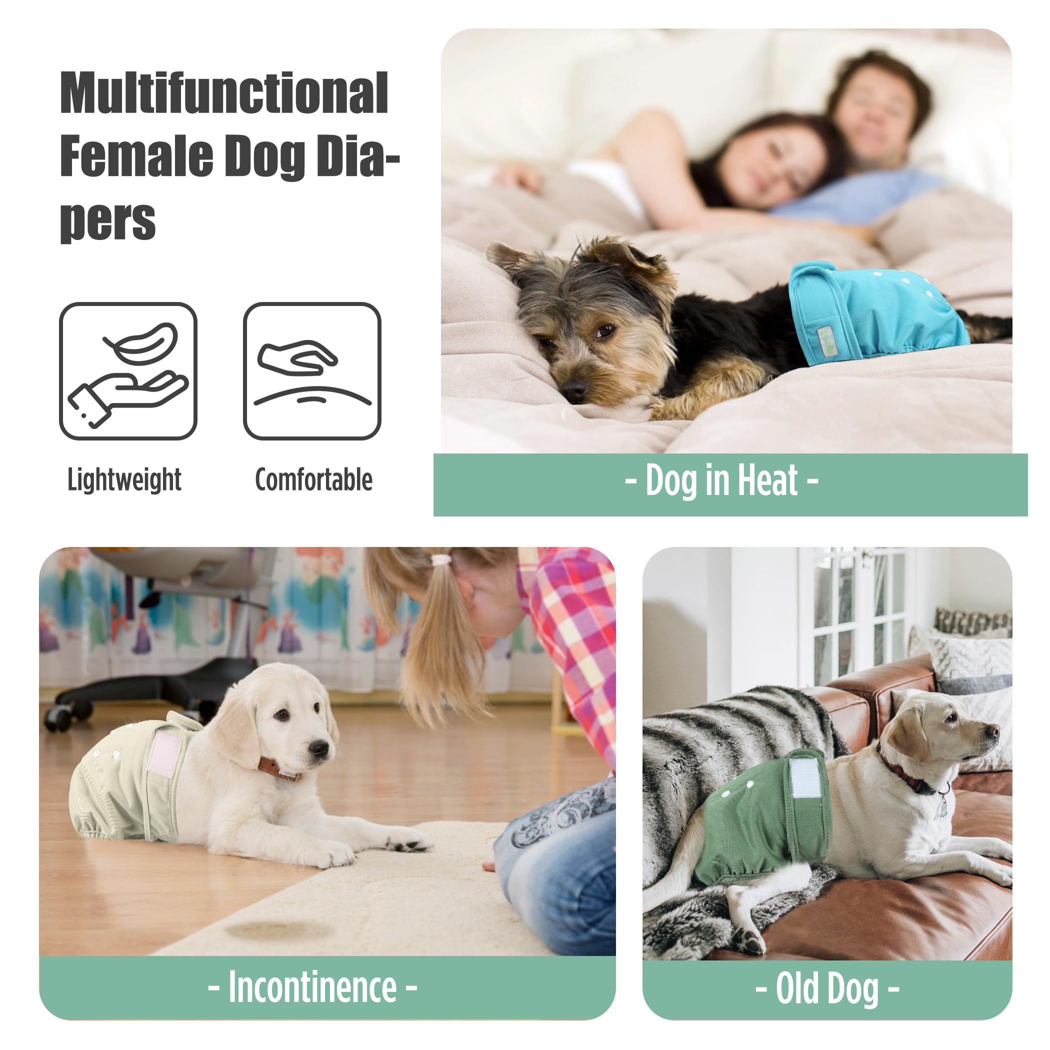 Wegreeco heat-period diapers help reduce weekly carpet cleanups and furniture mess.