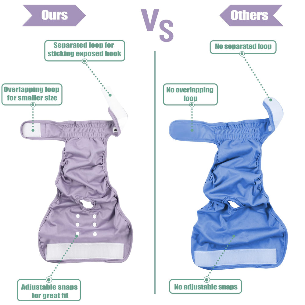 Wegreeco three-color varieties shown for fashion and comfort.