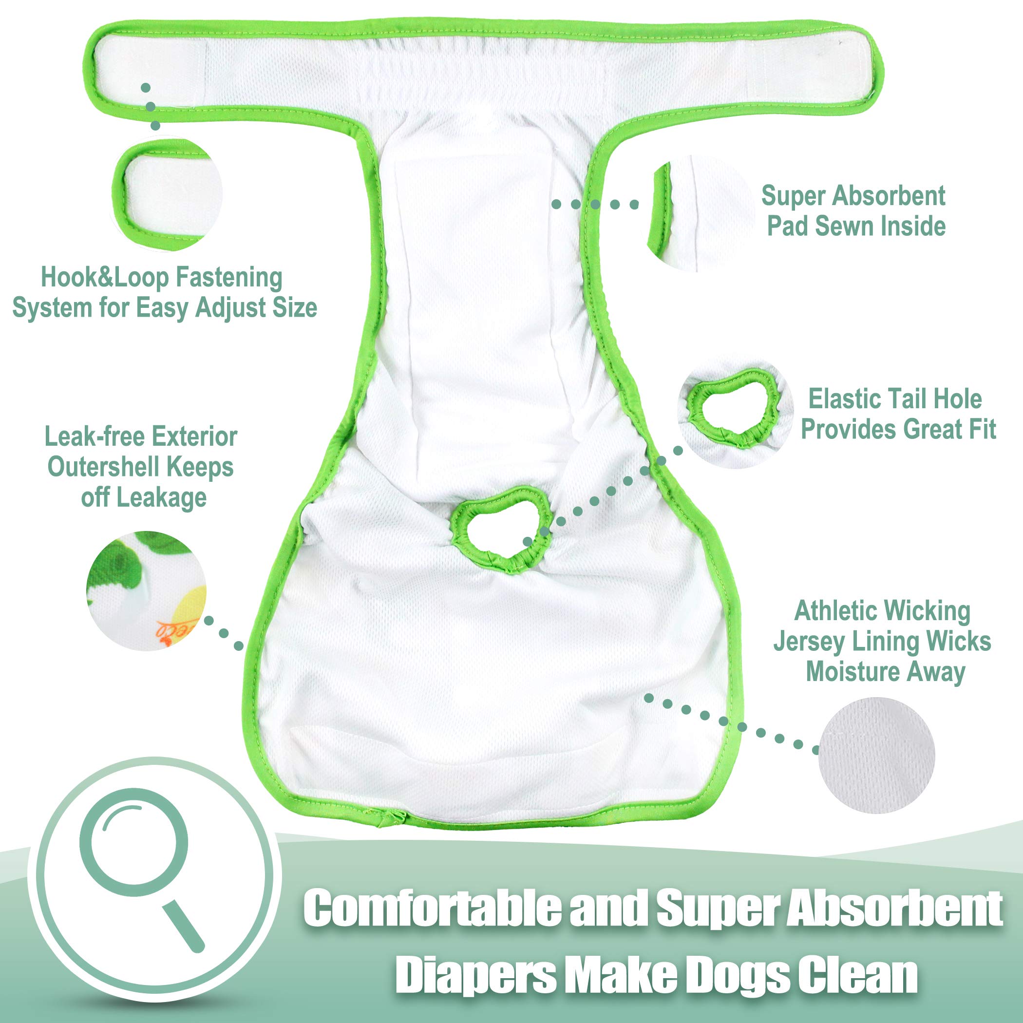 Dogs wearing feminine diapers during heat for practical protection.
