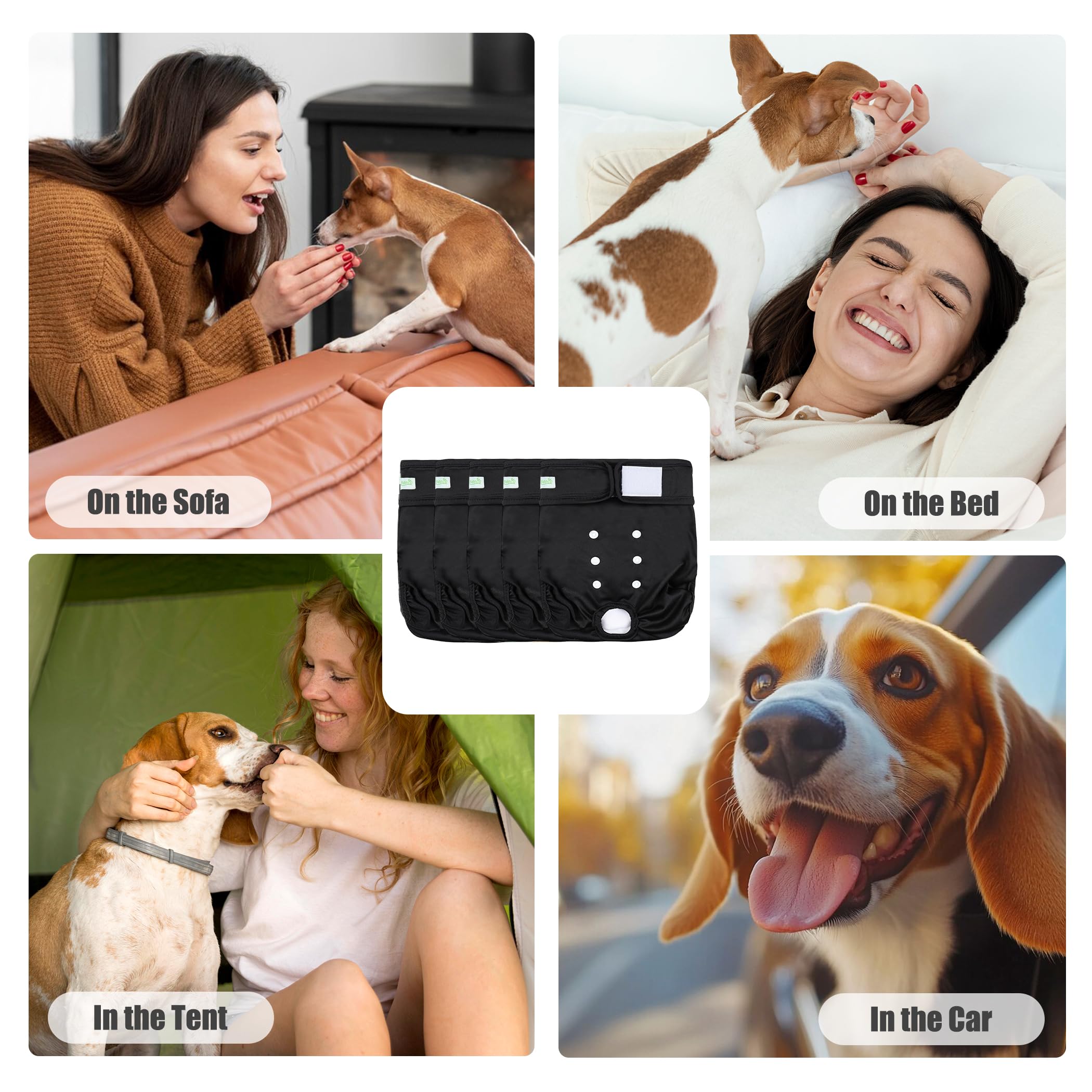 Wegreeco dog diapers in use by a calm, versatile breed