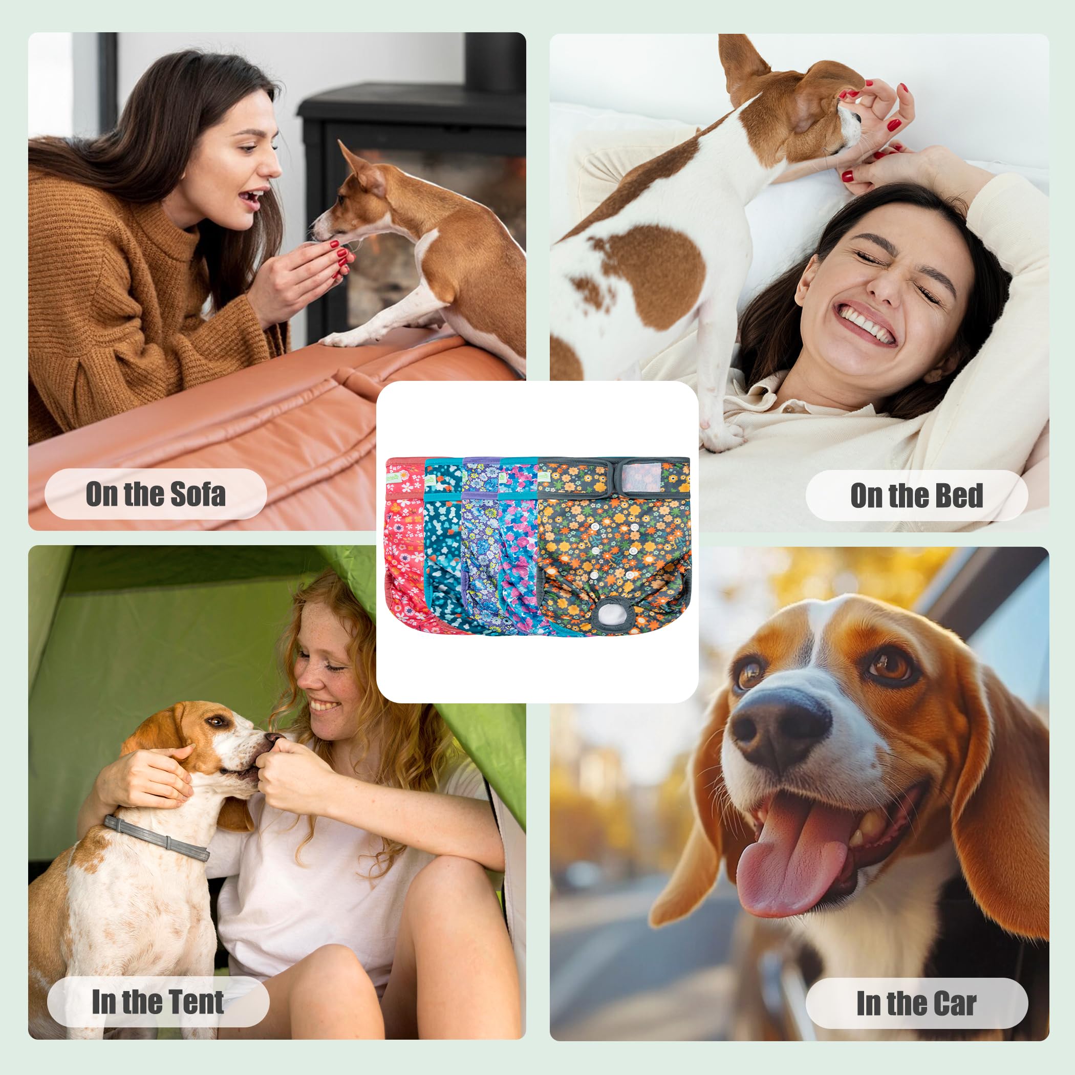 Wegreeco female dog diapers in use during daily activities for mobility