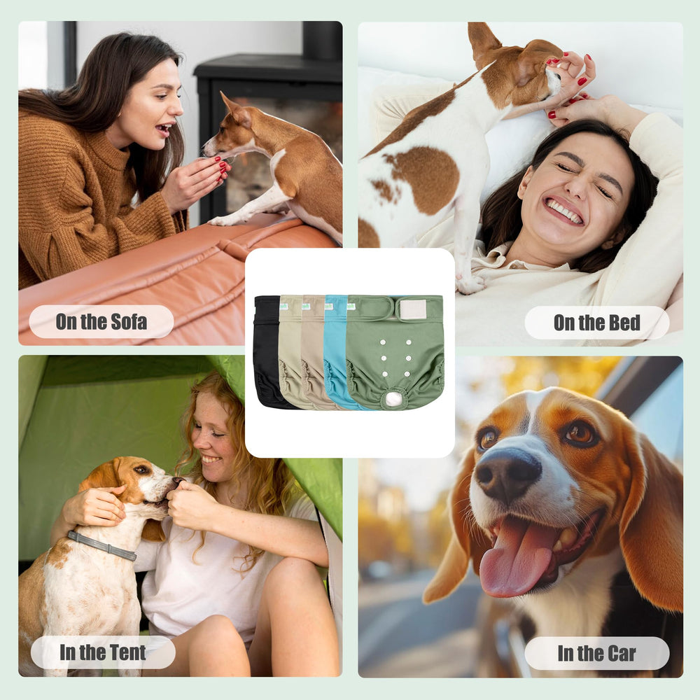 Wegreeco size chart guides fit for small to large female dogs.