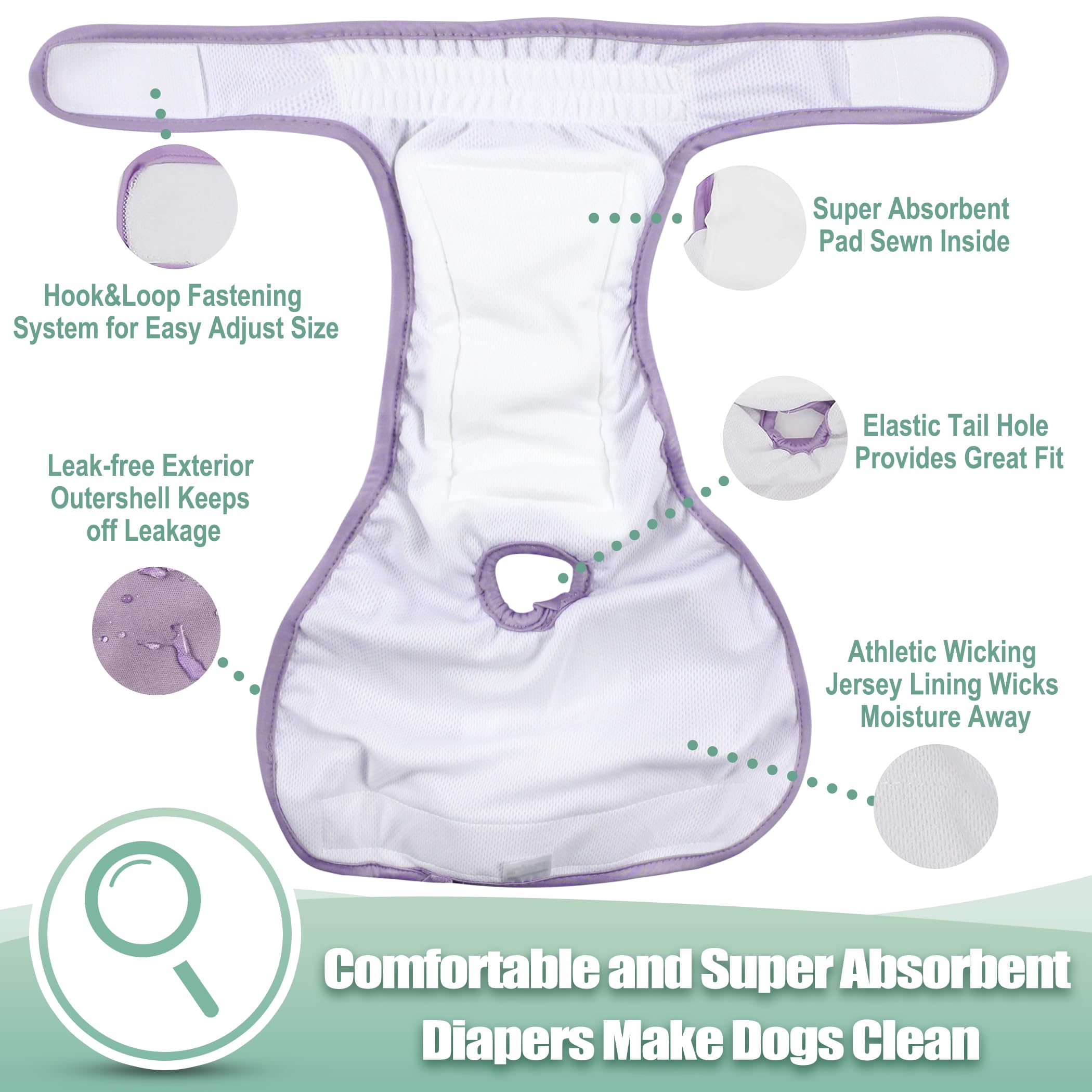 Wegreeco measurement guide illustration shows how to fit small dogs.