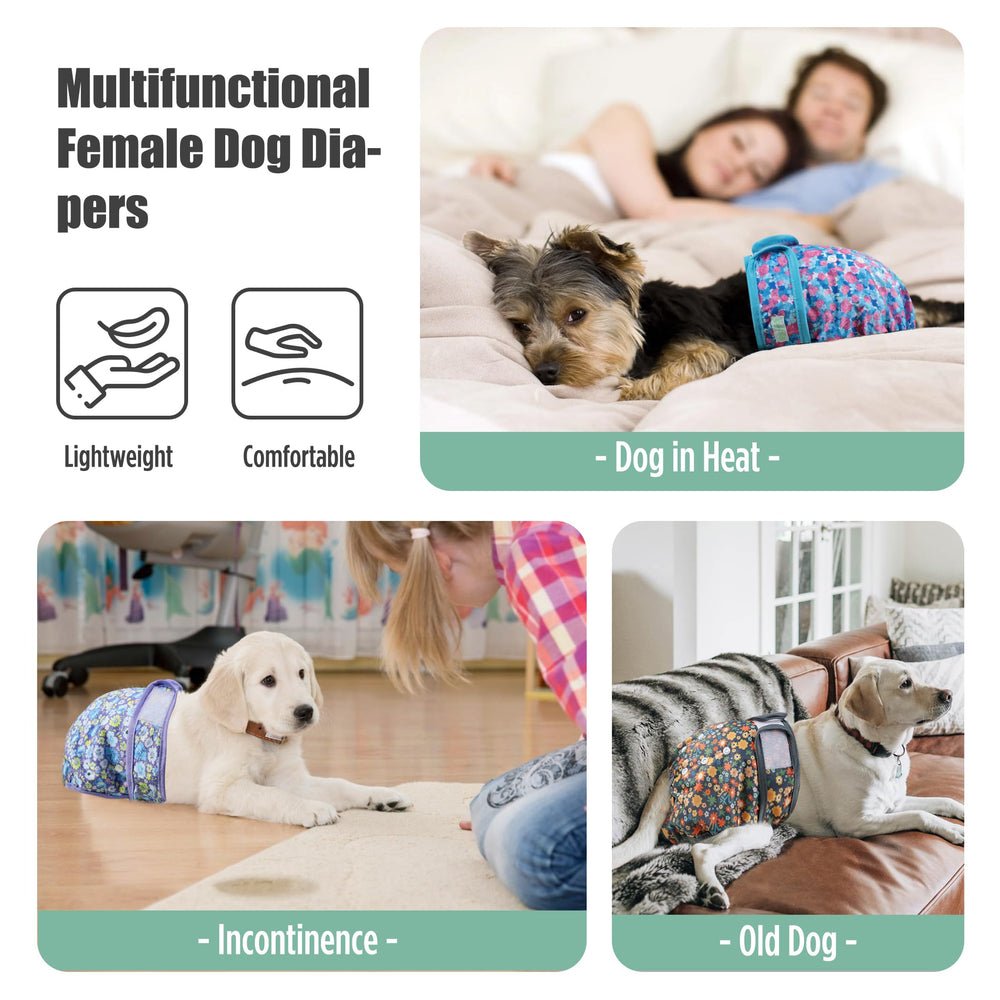 Wegreeco puppy-in-heat-use demonstrates reusable protection and ease of care.