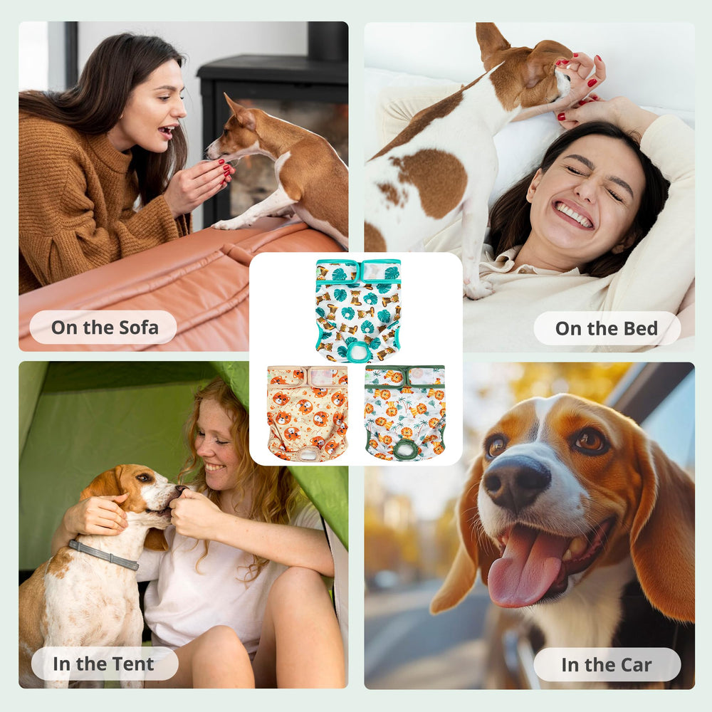 Wegreeco size chart large image shows bigger dog fit.