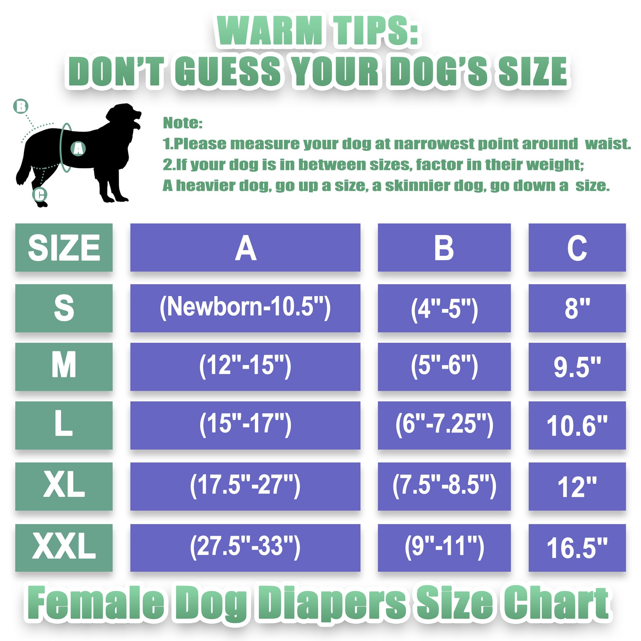Wegreeco diaper wrap for female dogs in heat shown in closeup for easy use.
