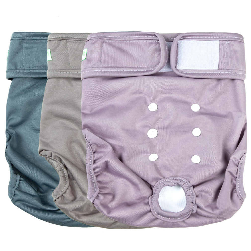 Wegreeco washable dog diapers worn on a dog for comfortable protection during heat.