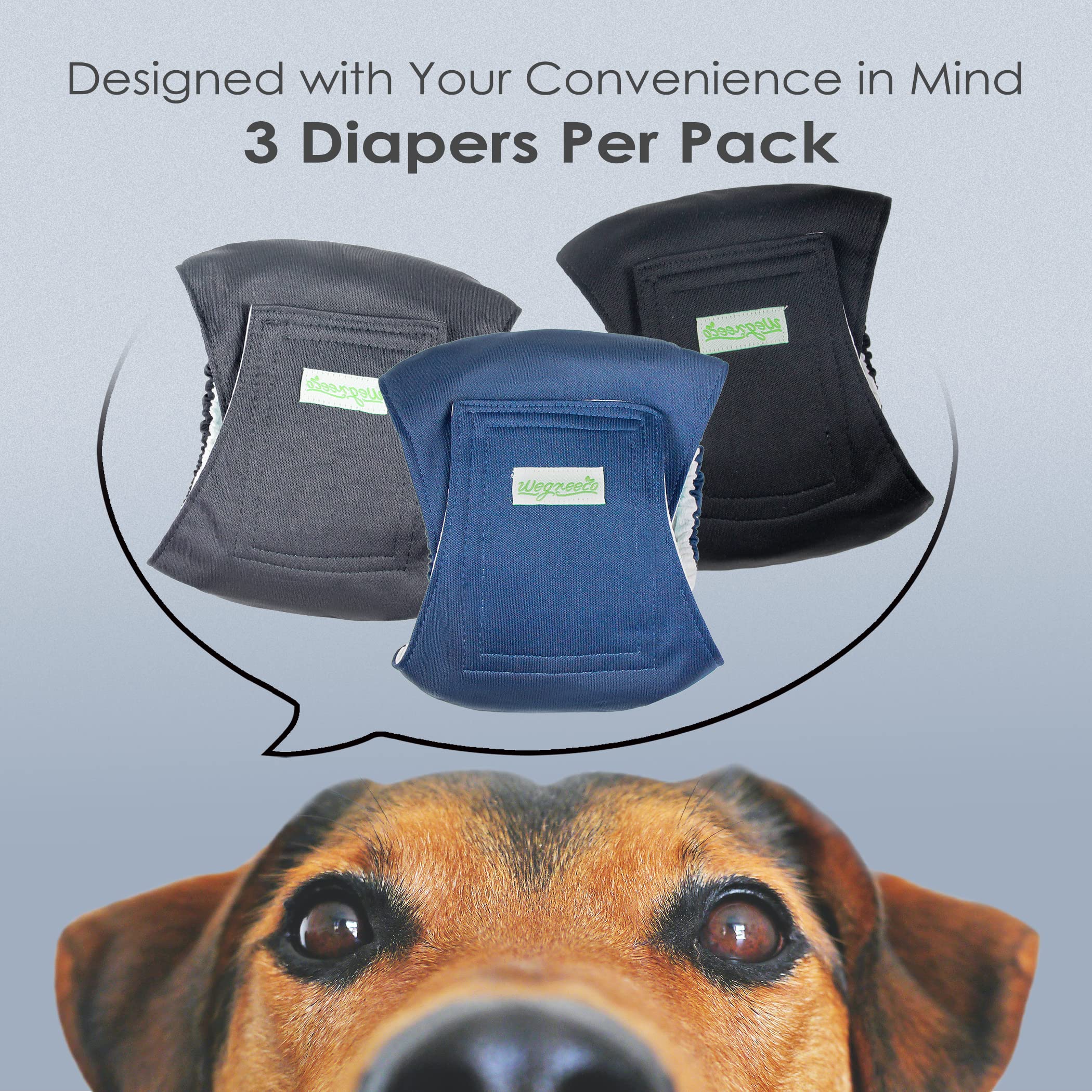 Wegreeco XL diaper with 22-27 inch waist provides a snug fit for larger dogs.
