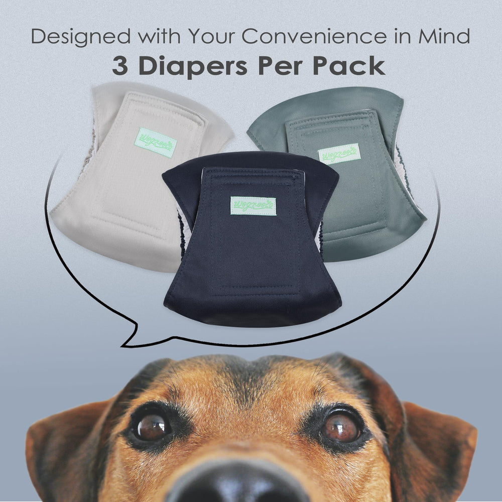 Wegreeco green belly band shows secure fit and mess prevention.