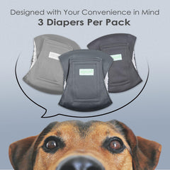 Wegreeco washable male dog belly band pack of 3 laid out, reusable protection