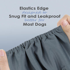 Wegreeco washable diaper on dog showcasing comfortable soft jersey inner