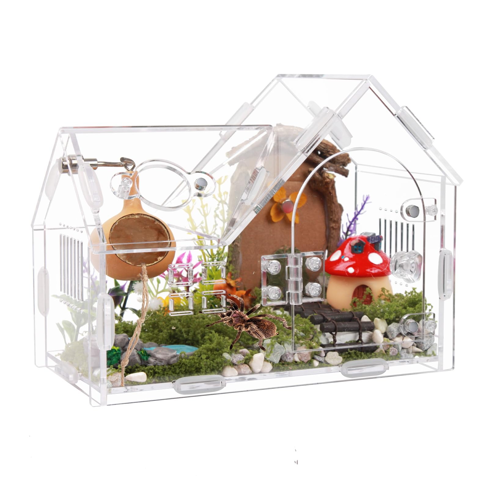WEIKEJINA acrylic jumping spider enclosure front view shows secure magnetic door for safe feeding
