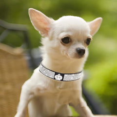Collar WeimoMonkey suede luxe para perro grande, ligero y cómodo durante paseos largos.