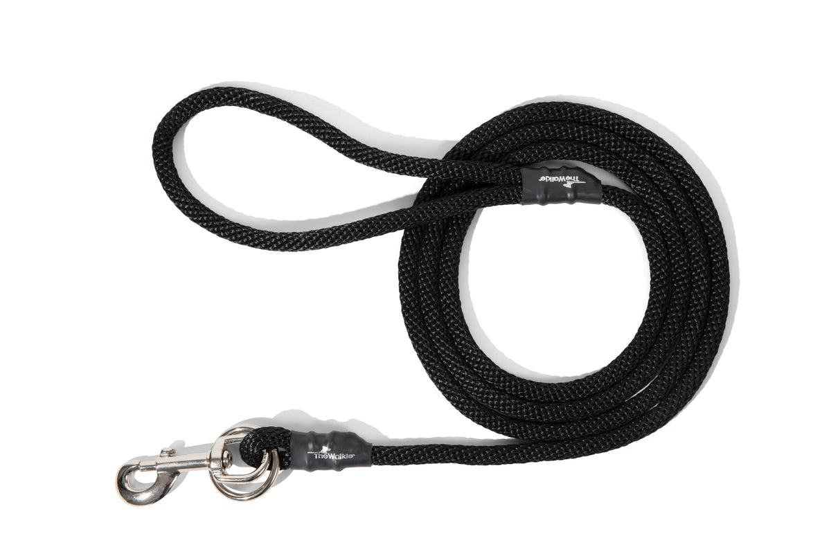 Weiss Walkie no-pull leash in park walk for calm dogs and easier control