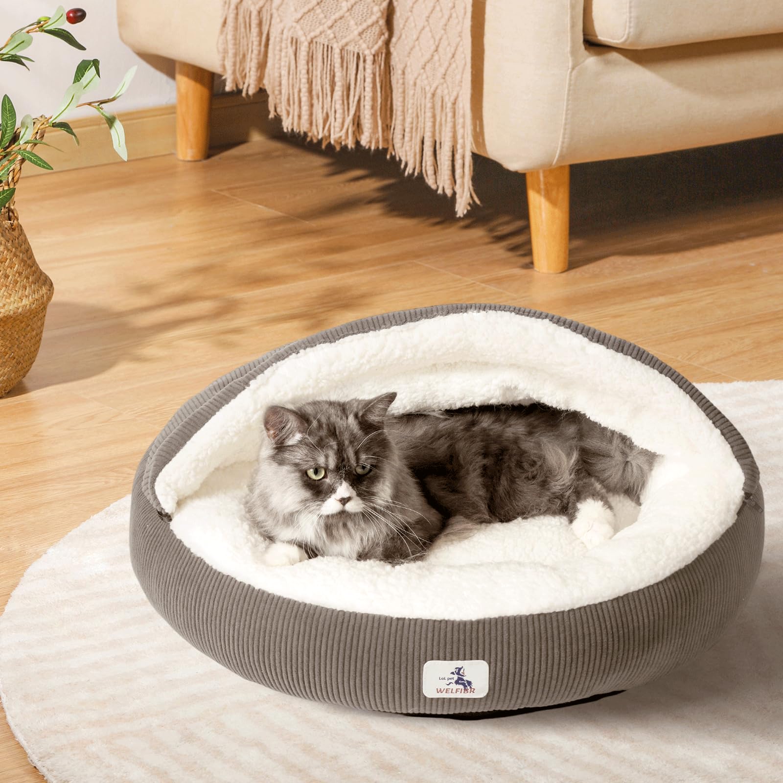 Welfibr compact size bed suits indoor cats and small dogs.