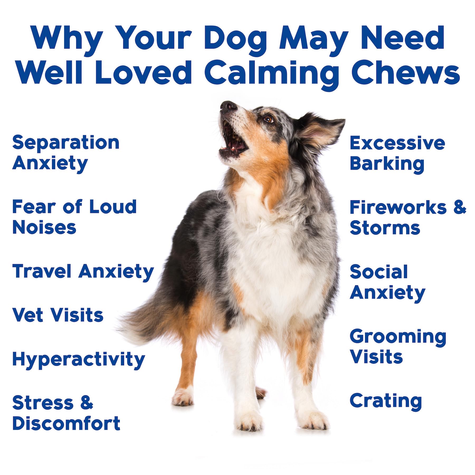 Well Loved Calming Chews tryptophan melatonin blend aids nighttime or stressful events