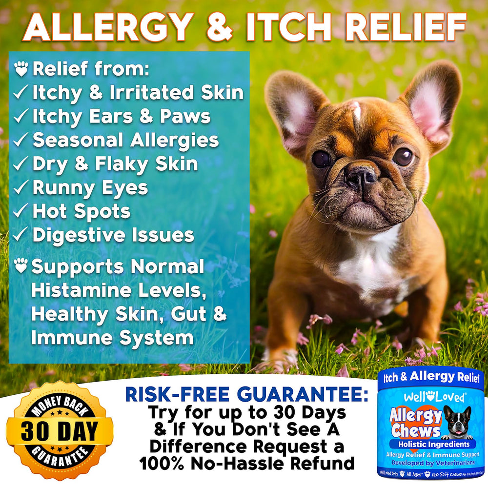 Well Loved dog allergy chews being chewed by a dog showing tasty flavor appeal