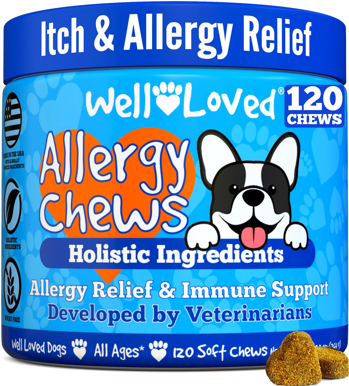 Well Loved dog allergy chews packaging front highlighting vet developed relief options