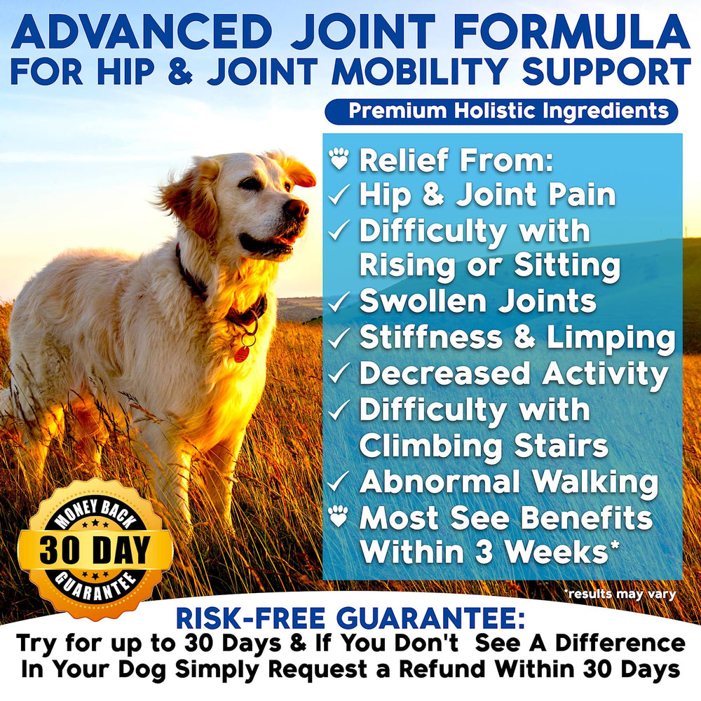 Well Loved dog glucosamine chews tub front view for easy serving.