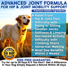 Well Loved dog glucosamine chews tub front view for easy serving.
