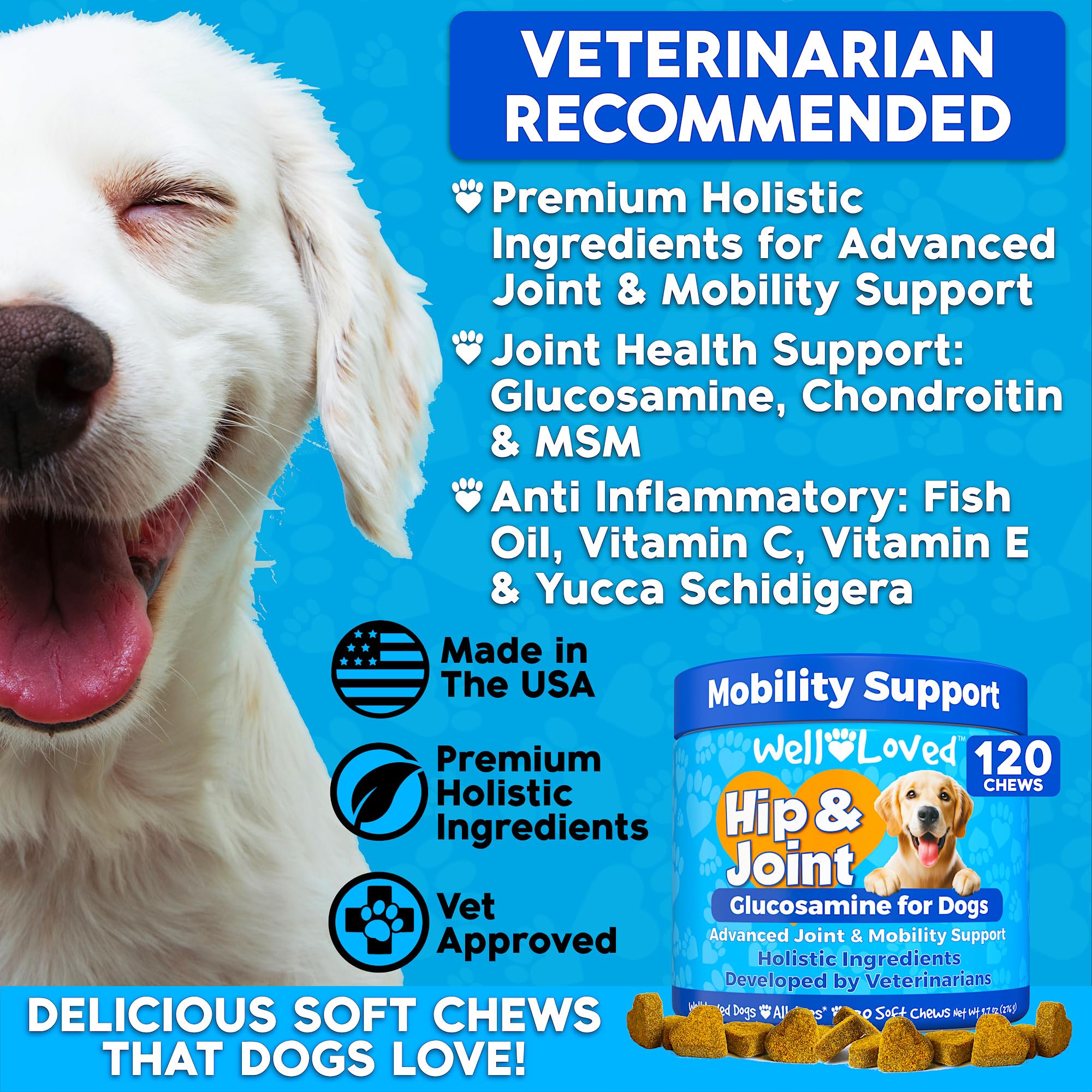 Well Loved hip and joint chews soft treats for mobility support.