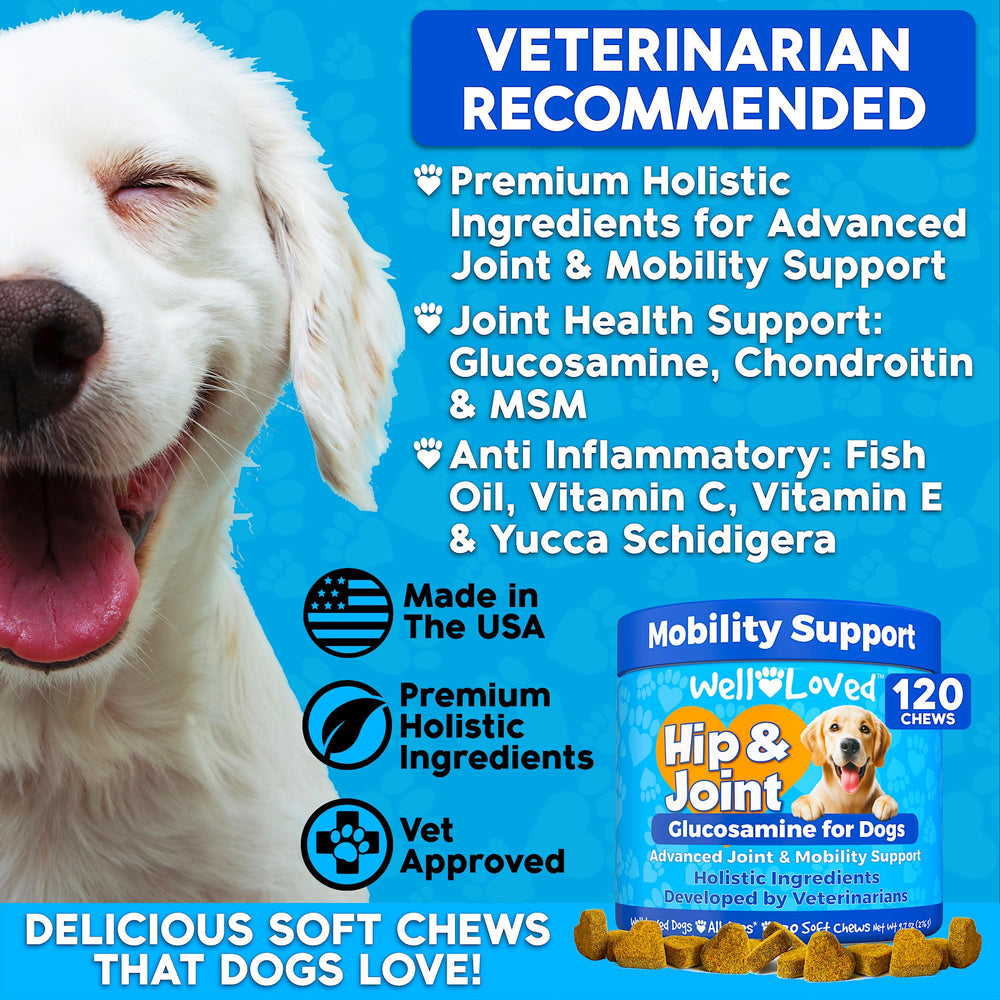 Well Loved hip and joint chews soft treats for mobility support.