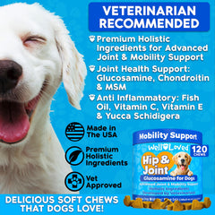 Well Loved hip and joint chews soft treats for mobility support.