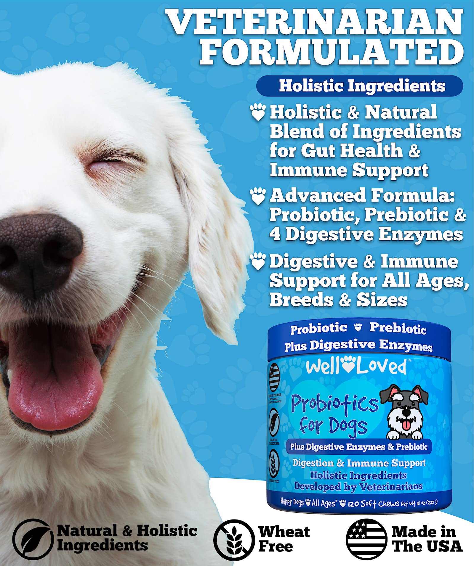 Well Loved Probiotics ingredients image highlights prebiotics and enzymes for canine digestive wellness
