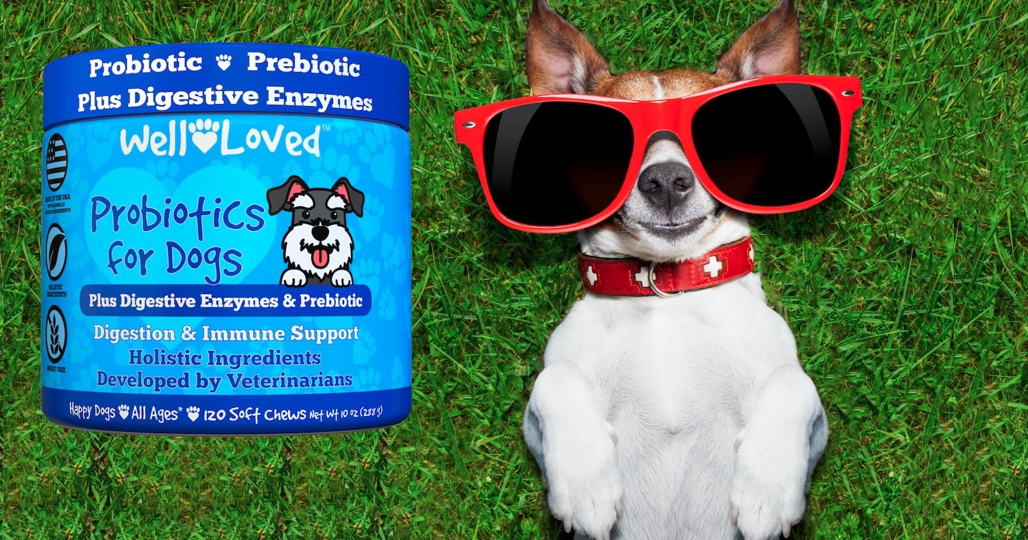 Well Loved Probiotics dog immune-support scene hints at overall well-being for pets