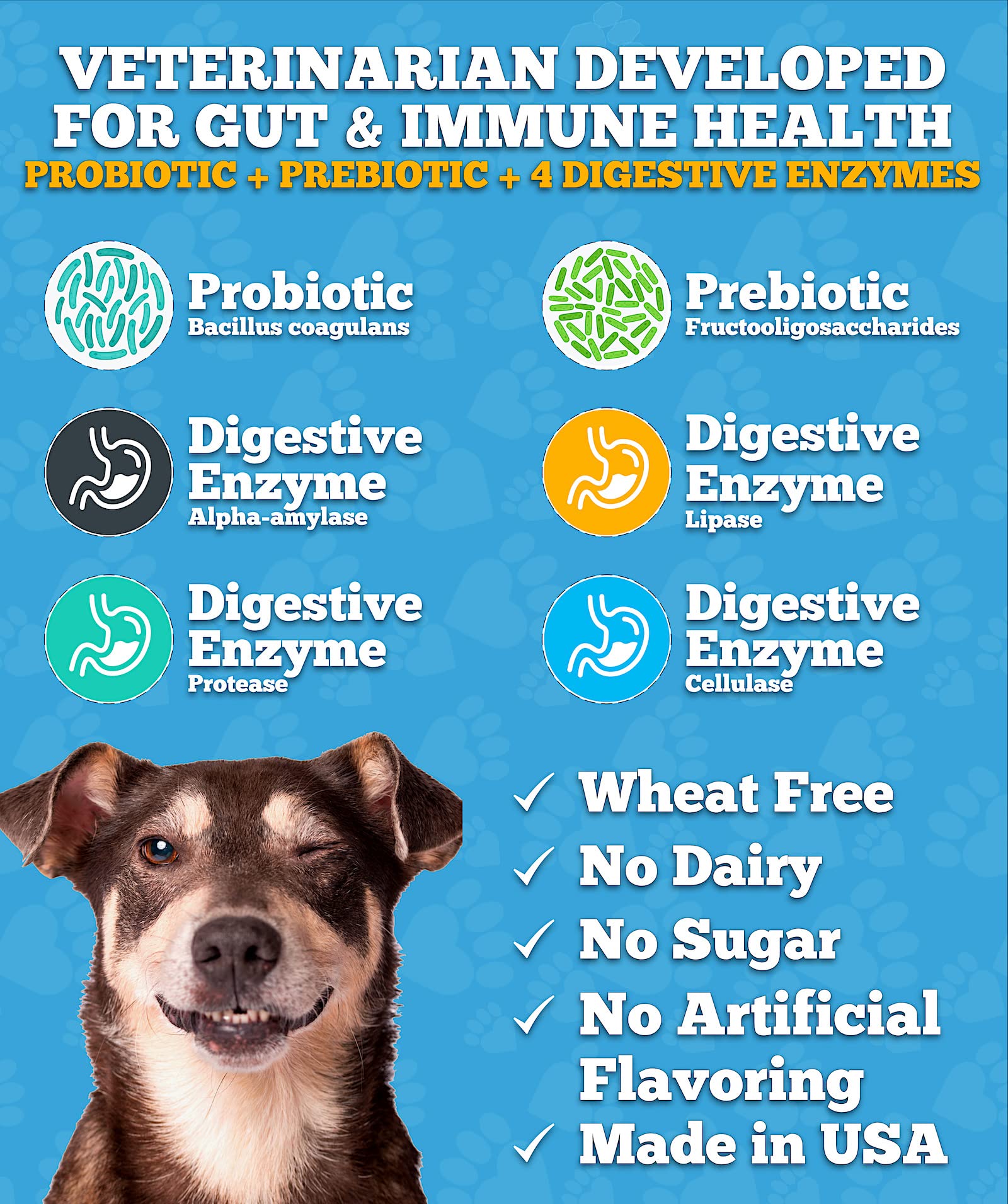 Well Loved Probiotics dogs eating chew demonstrates easy daily maintenance for upset-stomach relief