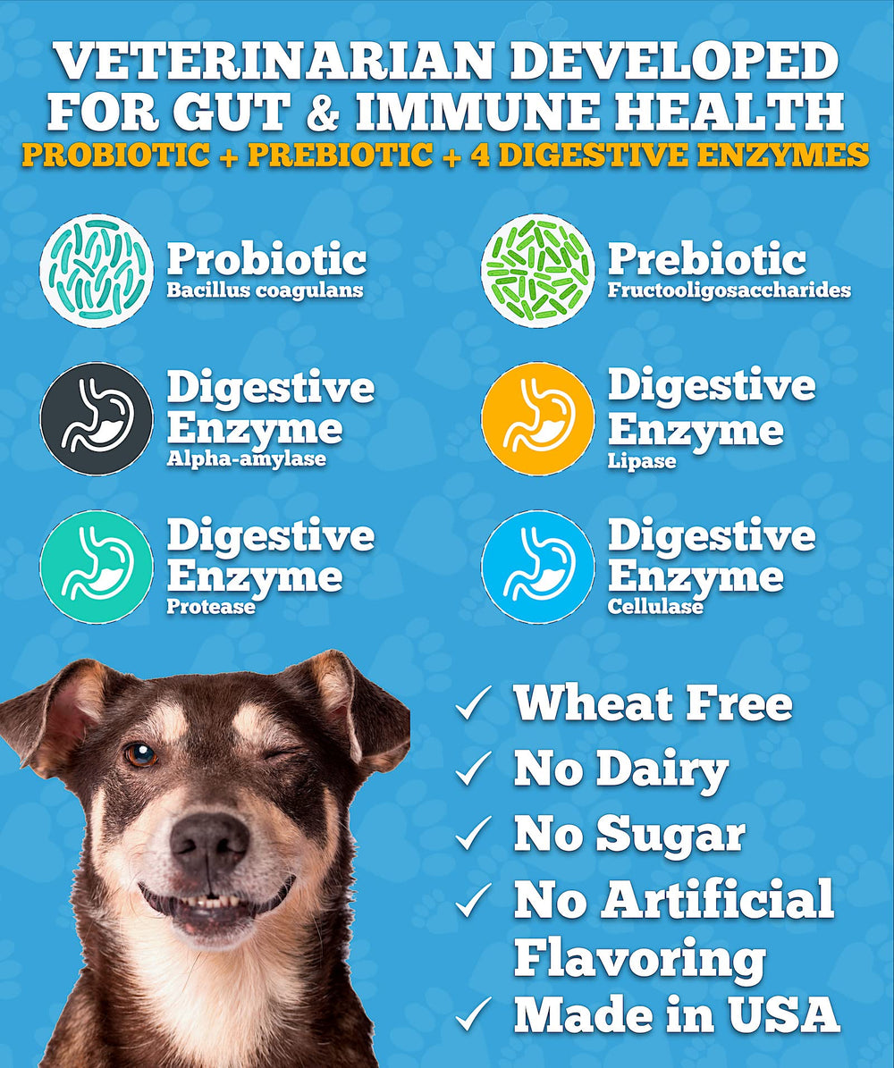 Well Loved Probiotics dogs eating chew demonstrates easy daily maintenance for upset-stomach relief