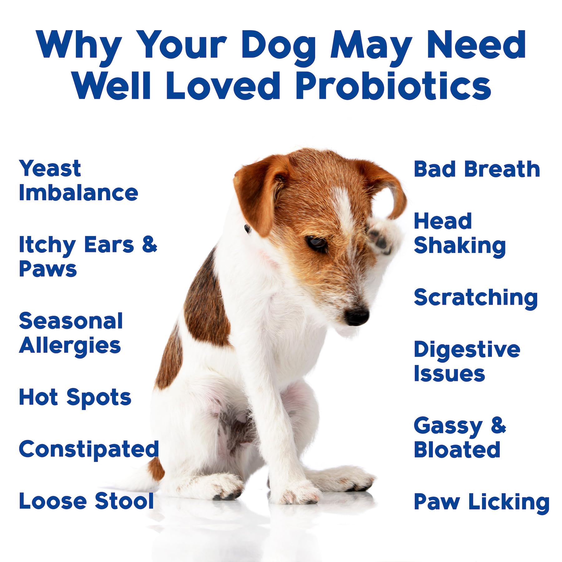 Well Loved Probiotics Made in USA factory scene emphasizes quality control in production