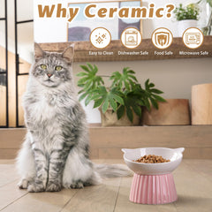 Wellbro blue porcelain cat bowl durable food grade materials for safe meals