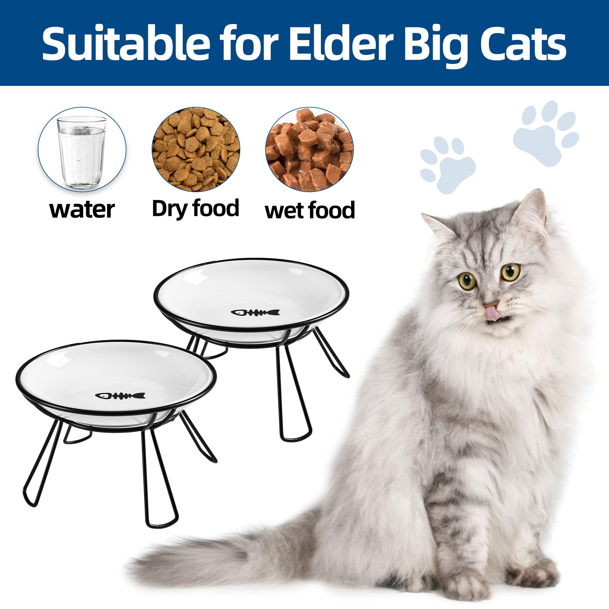 Wellbro ceramic food bowl on elevated stand offers comfortable feeding height