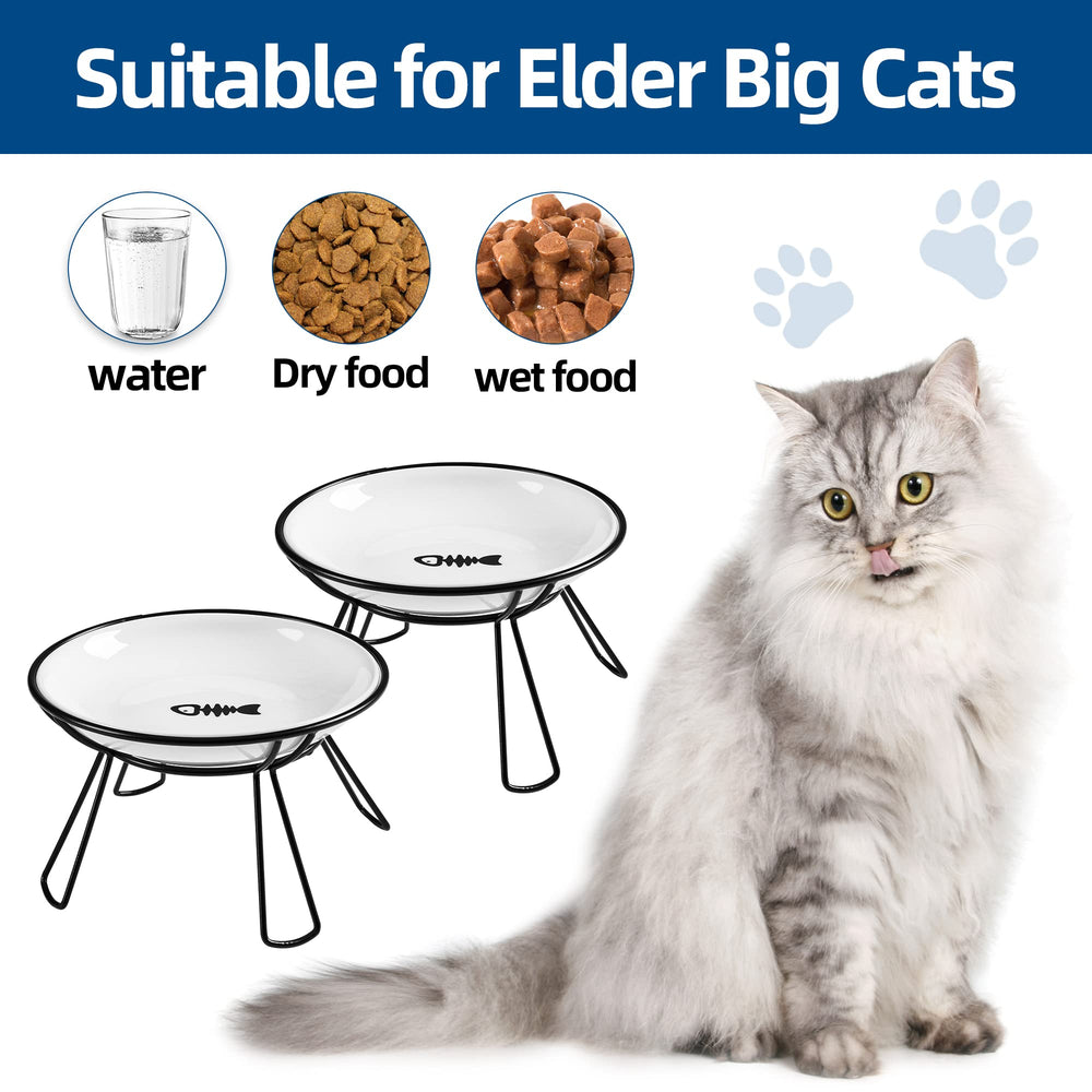 Wellbro ceramic food bowl on elevated stand offers comfortable feeding height