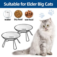 Wellbro ceramic food bowl on elevated stand offers comfortable feeding height