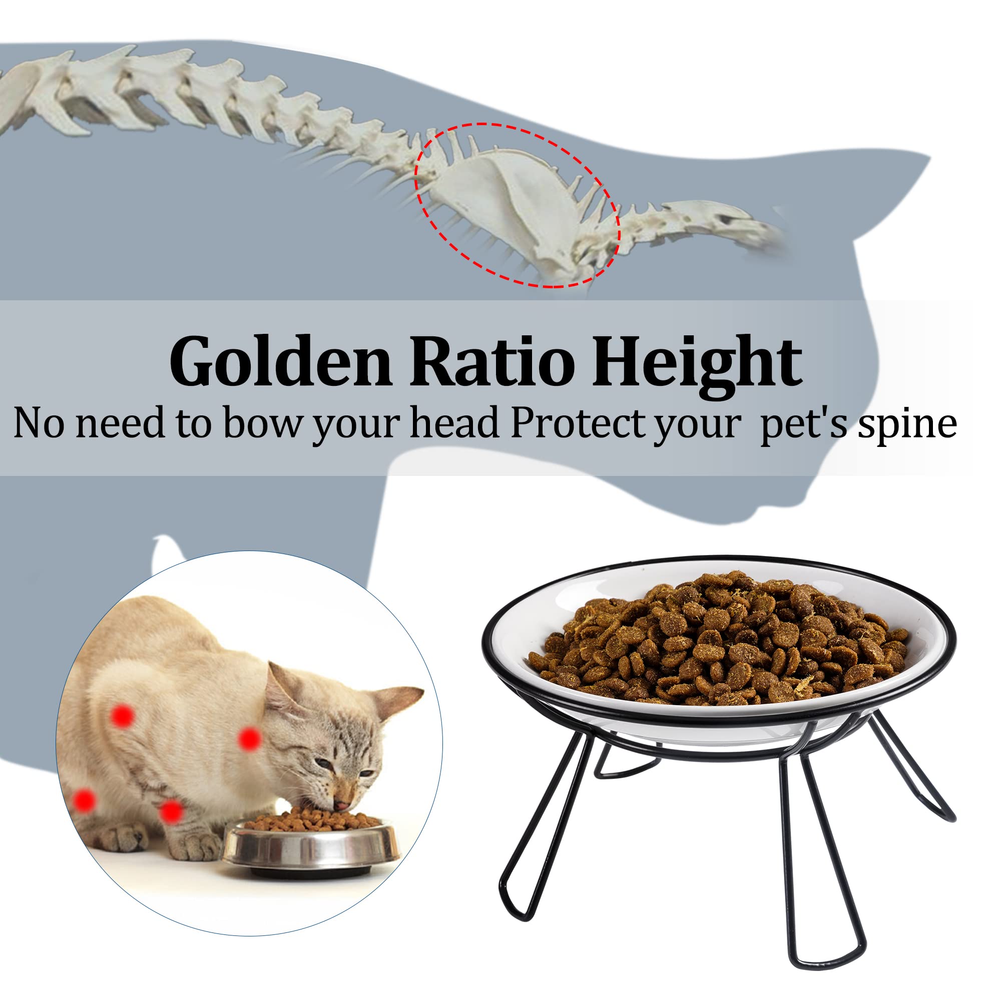 Wellbro ceramic water bowl on elevated stand keeps water accessible and spill-free