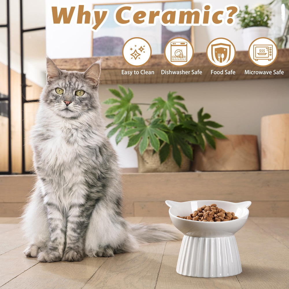 Wellbro dishwasher-safe cat bowl easy to clean after meals