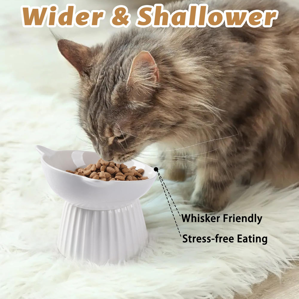 Wellbro microwave-safe ceramic cat bowl convenient for reheating meals