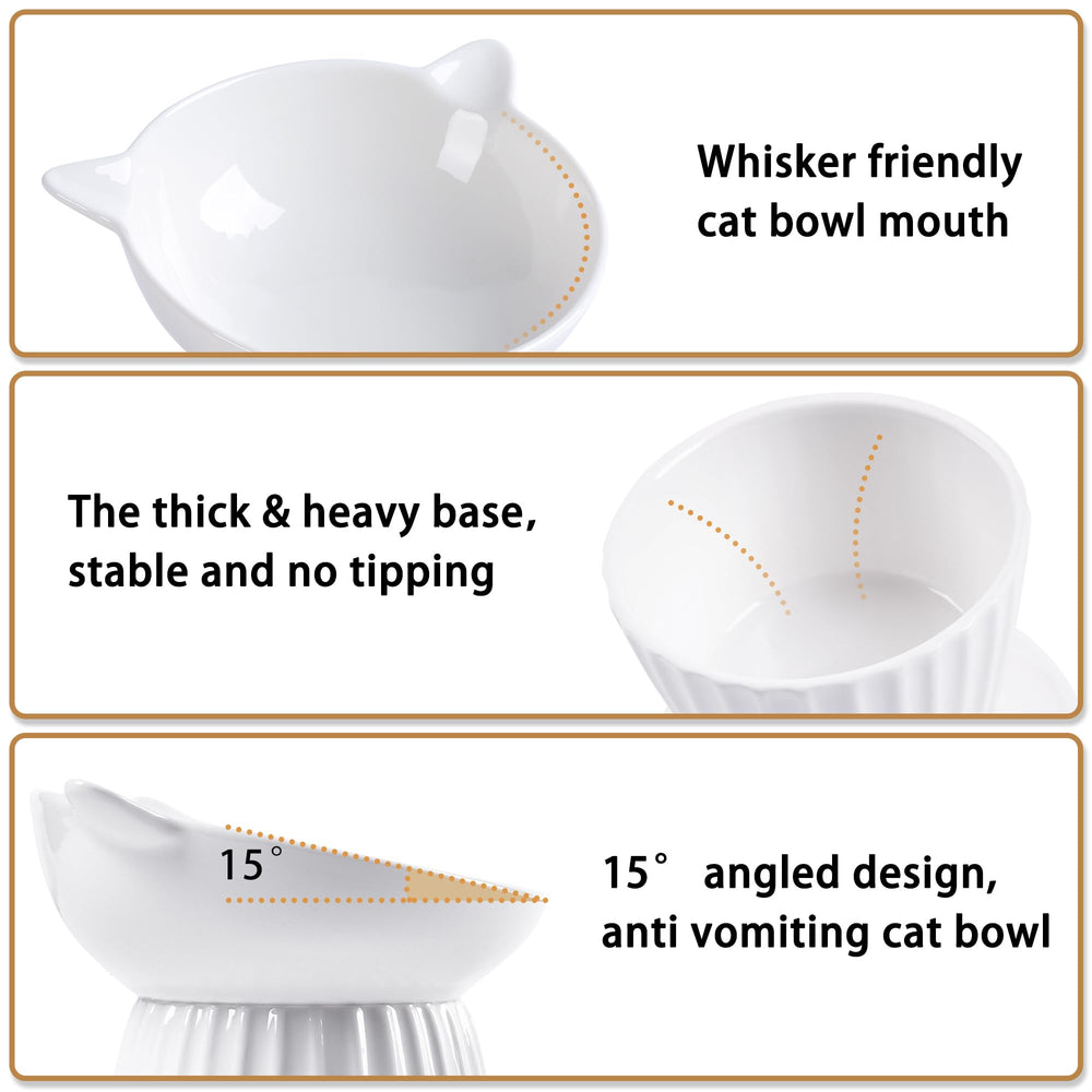 Wellbro ceramic raised bowl tilted design aids centered eating