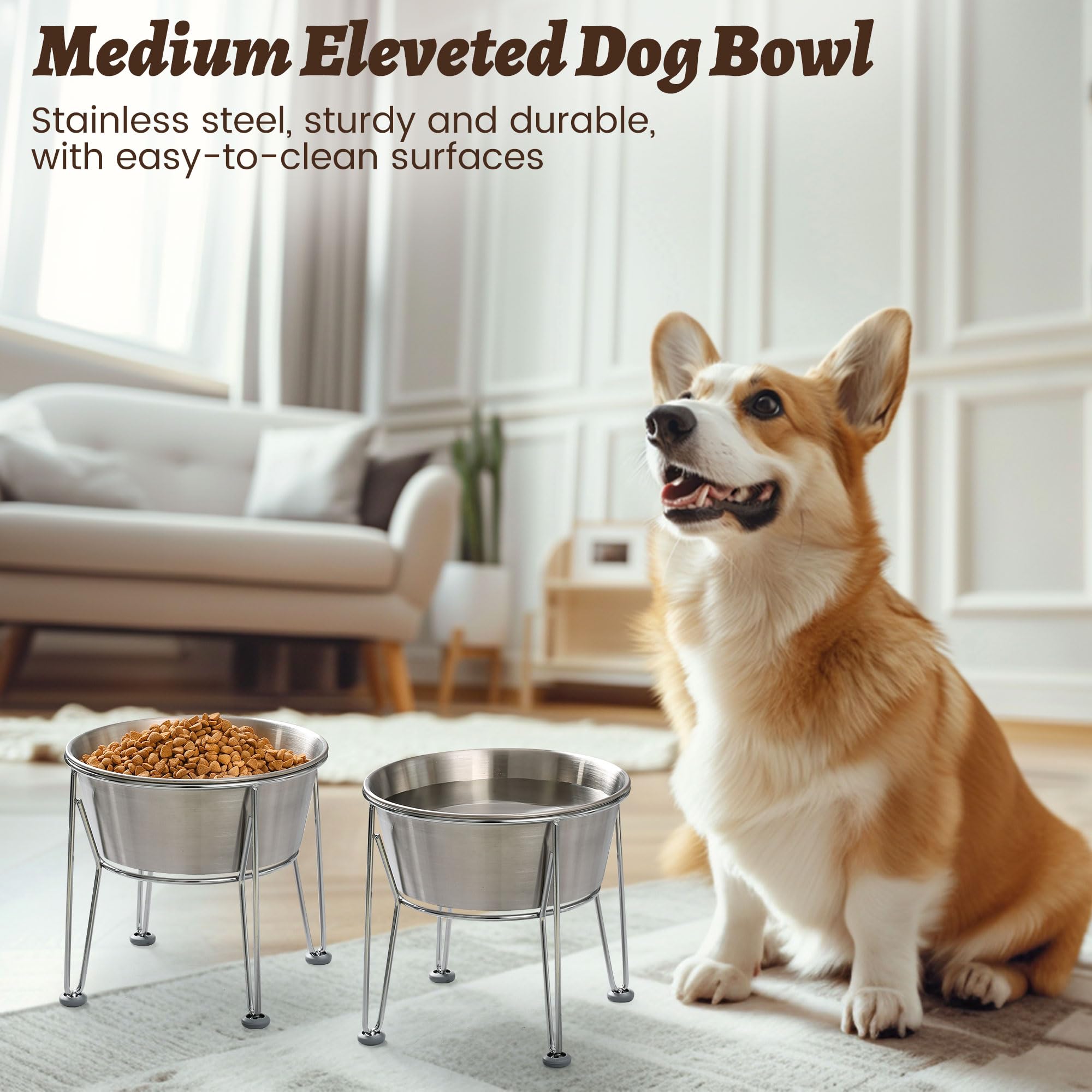 Wellbro two-pack elevated bowls set offers value for multi-pet households and separate stations.