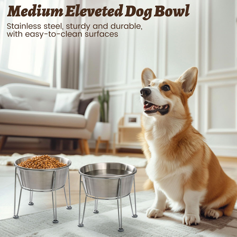 Wellbro two-pack elevated bowls set offers value for multi-pet households and separate stations.