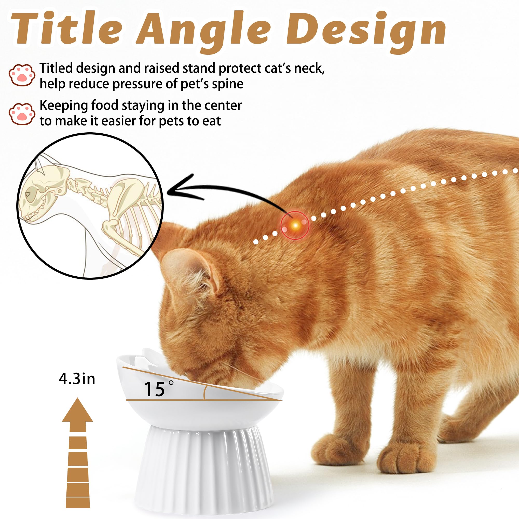 Wellbro wide dish cat bowl close-up reduces whisker contact for comfort
