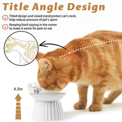 Wellbro wide dish cat bowl close-up reduces whisker contact for comfort