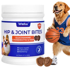 Wellix 260 Bites hip joint chews jar front for daily support