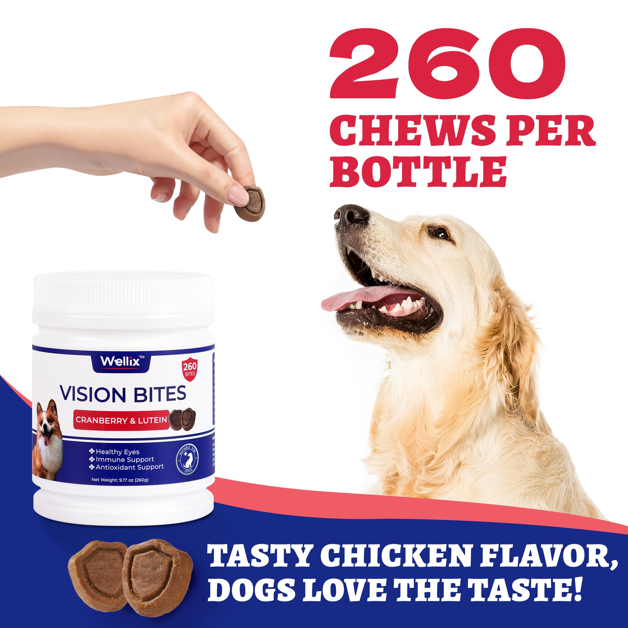 Wellix Vision Chews chicken flavor supports daily eye care for dogs.