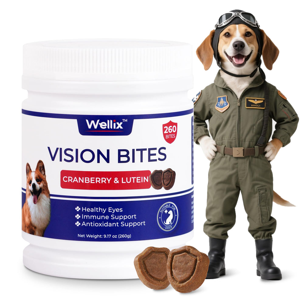 Wellix 260 Bites Vision Chews jar promotes eye health for dogs.