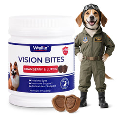 Wellix 260 Bites Vision Chews jar promotes eye health for dogs.